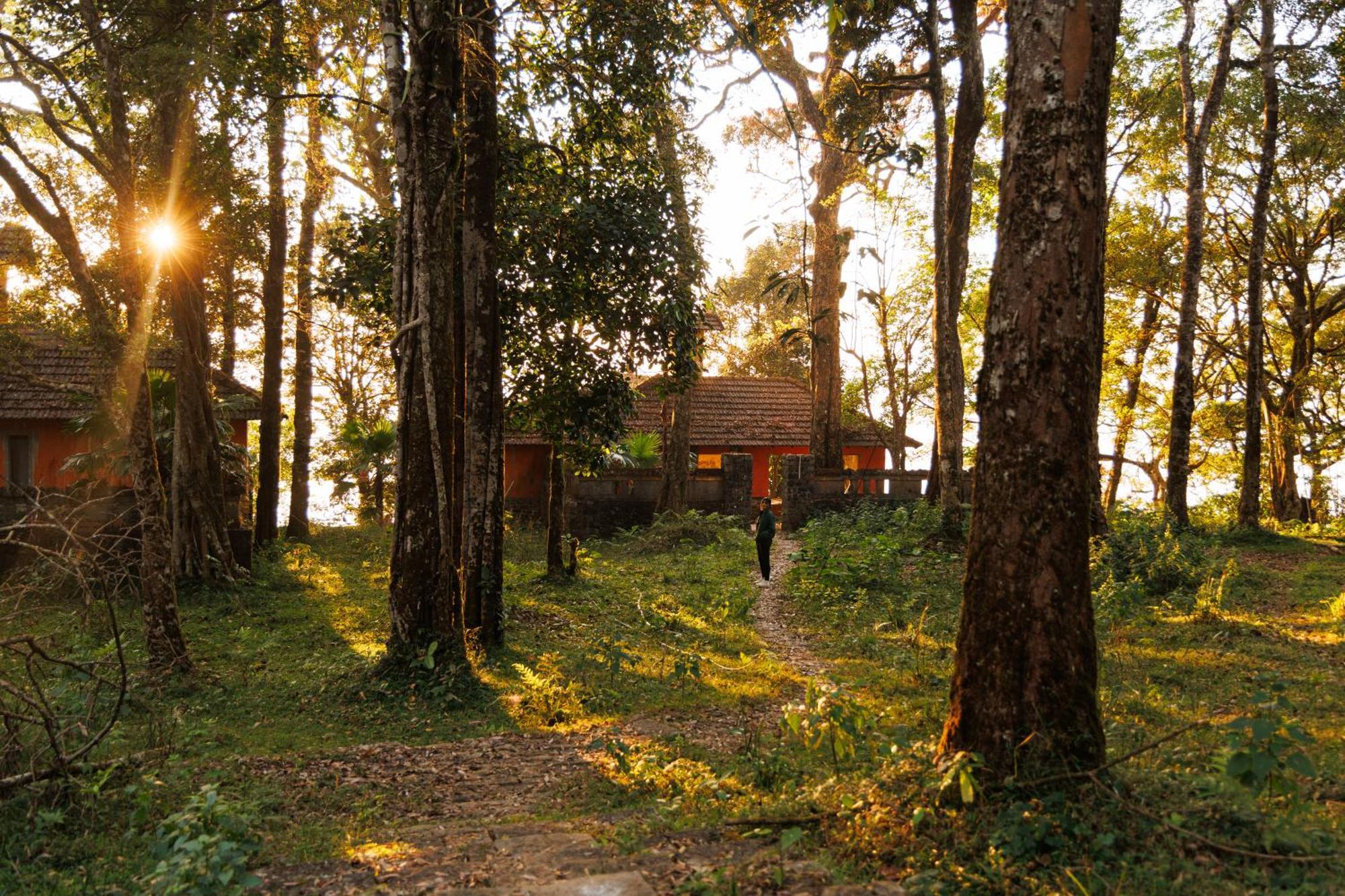 Jungle Park Resort By Greenescapes Vythiri Exterior photo